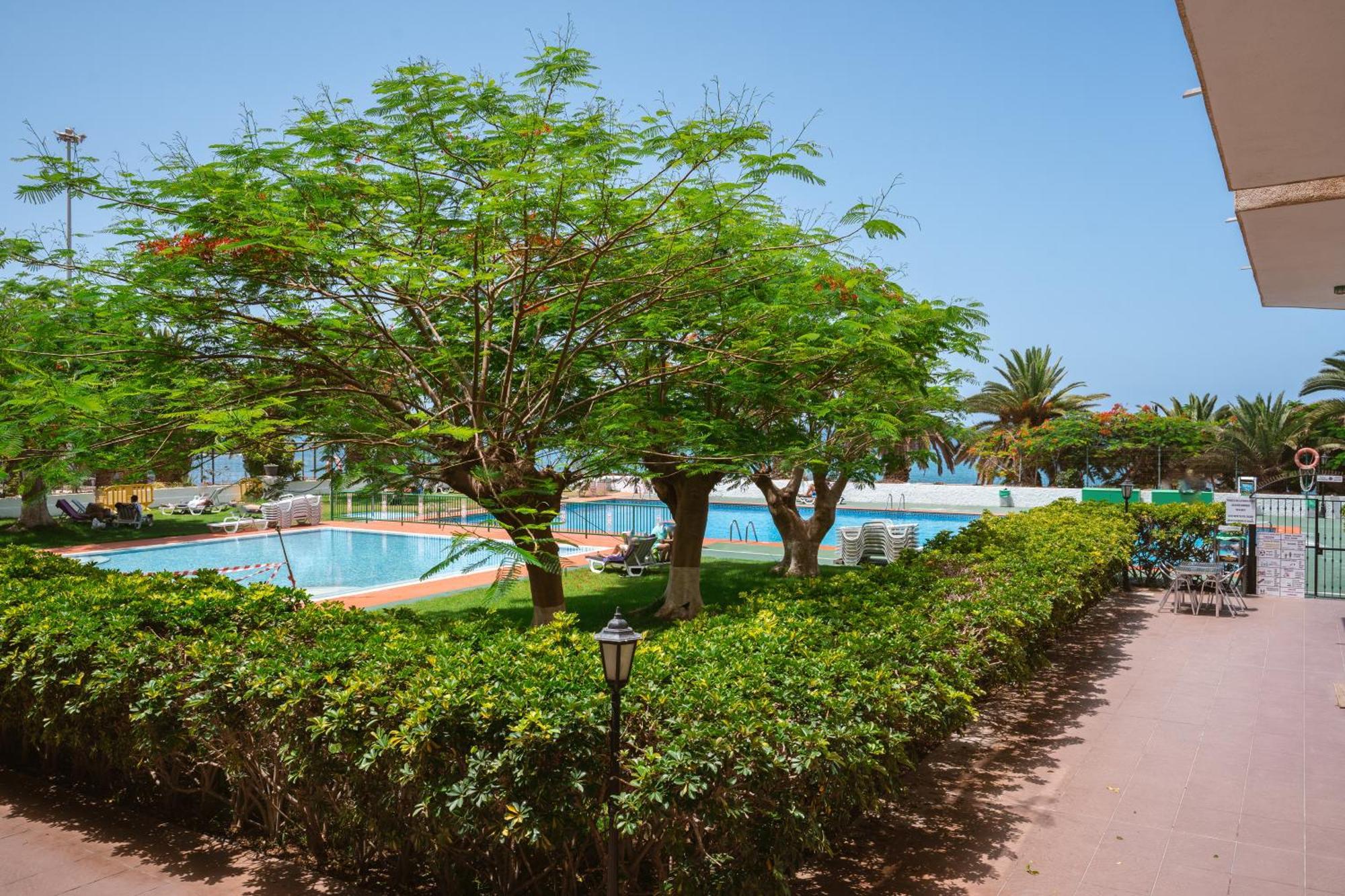 Go2Tenerife Apart'Dida Pool & First Line Of The Sea Los Cristianos  Zewnętrze zdjęcie